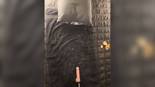 JessicaWhiteAngel - Young bitch with small tits gets fucked on bed with rubber cock and cums hard