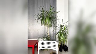 Polli_Kiss - [Charming young babe teases her breasts in front of the camera and chats sweetly with the chat