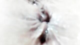 foxy-porn1 -  Babe shows her hairy pussy on camera and chats sweetly with the chat