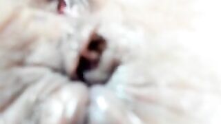 foxy-porn1 -  Babe shows her hairy pussy on camera and chats sweetly with the chat